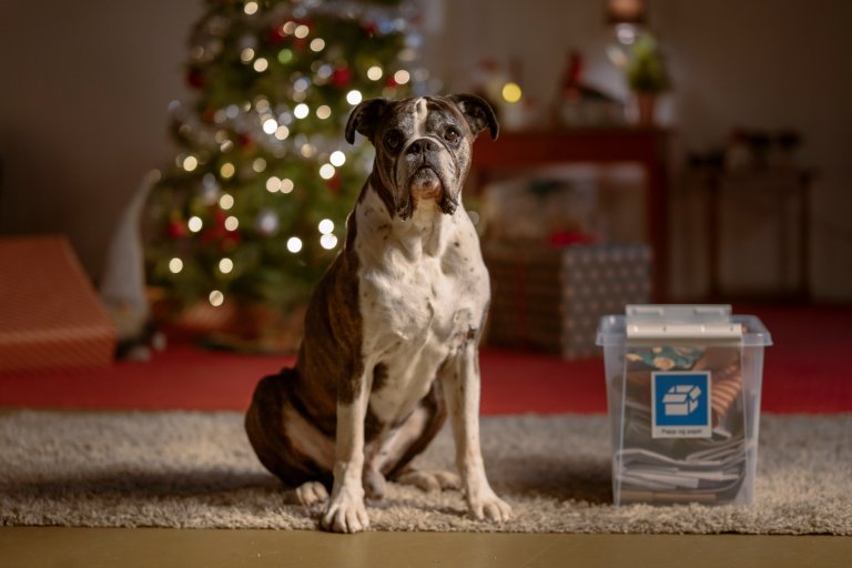 RfD Hermans jul 4 181125.jpg