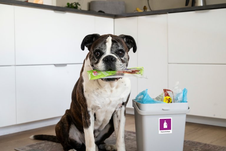 En hund sitter ved siden av avfallsbeholderen for plastemballasje med en tom pakke salami i munnen.