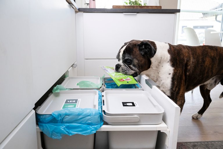 Hund som står over avfallsbeholdere med tom salamipakke.